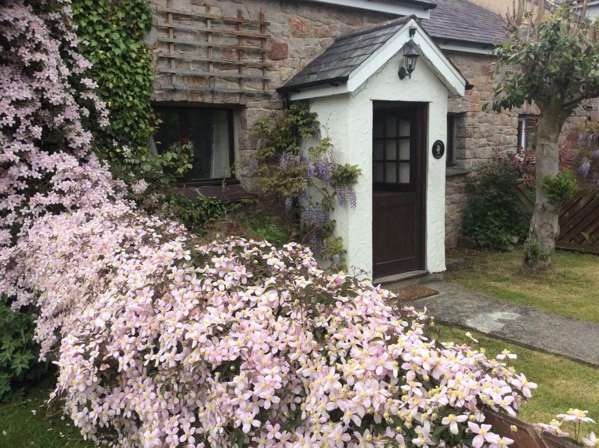 Sycamore Cottage Conwy Bagian luar foto