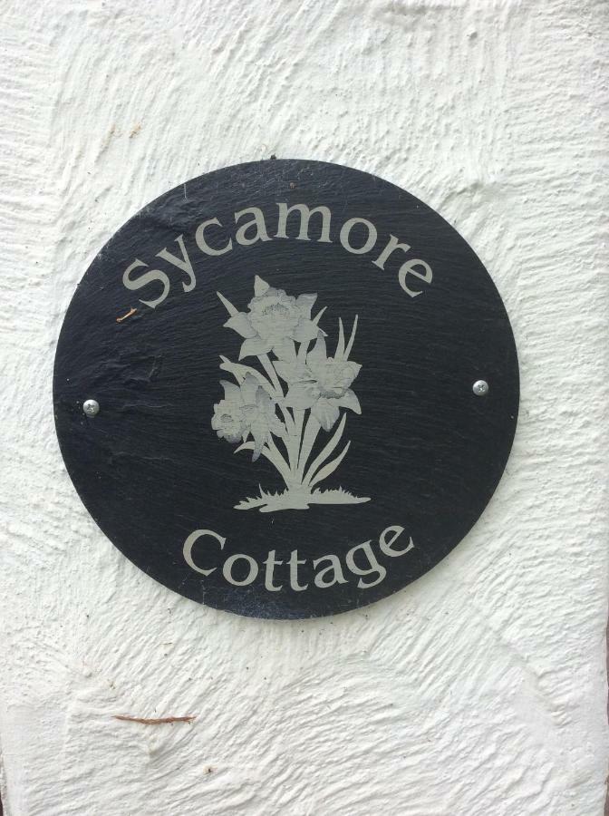 Sycamore Cottage Conwy Bagian luar foto